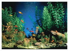Фон для аквариума Penn-Plax Камни, винил, 100x50 см