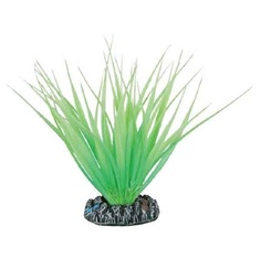 Искусственное растение для аквариума Barbus Акорус светящееся в темноте Plant 056 10 см