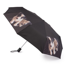 Зонт складной женский автоматический Fulton R346-3361 черный