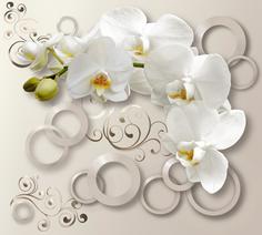 Фотообои Московская Обойная Фабрика Белая орхидея 6157-ML