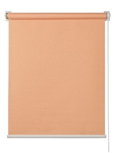 Рулонная штора Primedeco 3048009 170x48 см