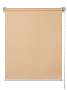 Рулонная штора Primedeco 3048007 170x48 см