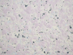 Жидкие обои SILK PLASTER А405 Absolute