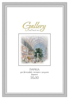 Фоторамка 20х30 см Hoff Gallery серебряный