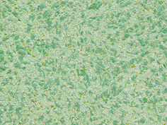 Жидкие обои SILK PLASTER А423 Absolute