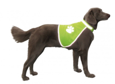Жилет для собак Nobby Safety Vest, светоотражающий, желтый, L, шея 48-62см, грудь 64-81см