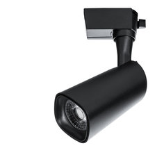 Светильник Arte Lamp BARUT A4562PL-1BK