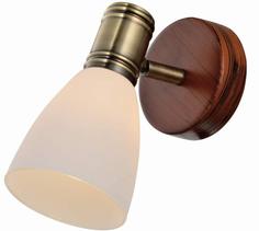 Спот Toplight SHARYL TL3720Y-01BB