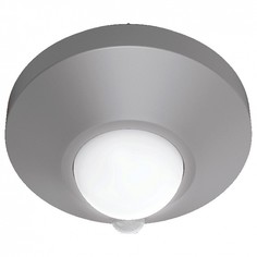 Потолочный светильник Gauss CL002