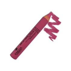Помада-карандаш для губ PARISA Cosmetics Dream Color тон 11