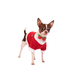 Пуловер для собак Yoriki Дед Мороз длина спины 21см
