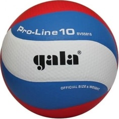 Волейбольный мяч Gala Pro-Line 10 Матчевый №5 blue/white/red