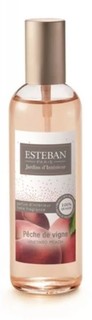Духи-спрей интерьерные 100 мл Сочный персик Esteban