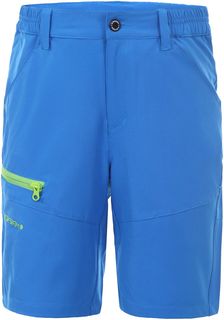 Шорты Для Активного Отдыха Icepeak 2020 Kochi Jr Royal Blue (Рост:176)
