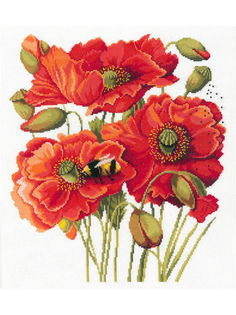 Набор для вышивания крестом "Маки", арт. A-0037 Nitex