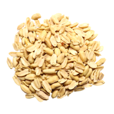 Арахис очищенный жареный соленные (Китай) 500 г. Nutraj