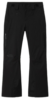 Брюки Горнолыжные The North Face 2020-21 Lenado Pant Tnf Black (Us:xl)