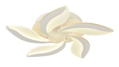 Потолочный светильник Escada 10214/SG LED*60W White