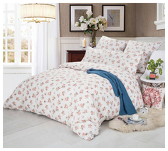 Комплект постельного белья СайлиД евро