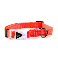 Ошейник для собак Great&Small со светящейся застежкой, оранжевый, 20мм х 40-55см