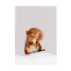 Обложка для паспорта унисекс Kawaii Factory Белка и снег