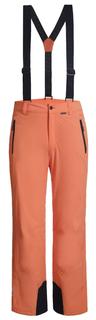 Брюки Горнолыжные Icepeak 2020-21 Freiberg Orange (Eur:52)