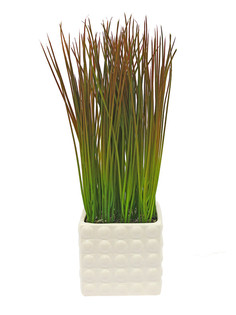 Трава в керамическом кашпо Квадрат, Gerard de ros