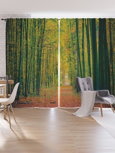 Шторы под лён JoyArty «Аллея посреди леса», серия Oxford DeLux, 340х265 см