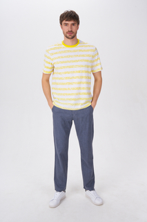 Брюки мужские Tom Farr T4F M6155.93 серые 36/34