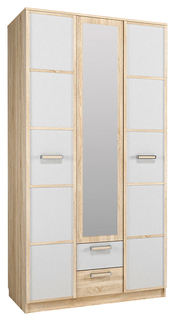 Шкаф комбинированный Silva Фанк