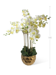 Орхидея Фаленопсис 7 веток в керамическом кашпо полусфера Gerard de ros