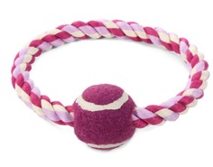 Развивающая игрушка для собак Triol Mini Dogs, фиолетовый, 12 см
