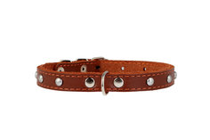 Ошейник для кошек Collar одинарный с украшением искусственная кожа, коричневый, 27-27 см