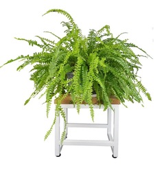 Универсальная подставка Smart Prestige 250, в стиле Лофт, 30х30х25см. Белая Syndicate