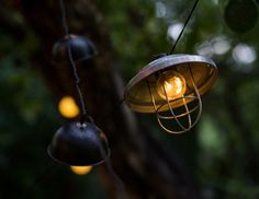 Новогодняя электрическая гирлянда Kaemingk Улыбка ностальгии mor 1017564 2,5 м белый