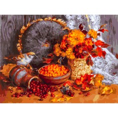Раскраска по номерам Осенние ягоды Белоснежка 441-AS
