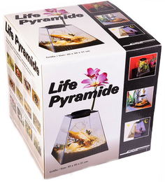 Террариум для насекомых, растений, улитой Lucky Reptile Пирамида, 30х30х30 см