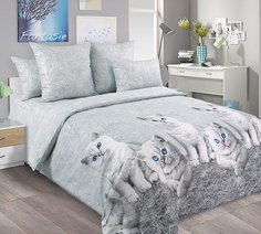 Постельное белье Mercury Home «Котята-2» 1.5 СП Перкаль