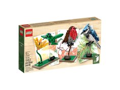 Конструктор Lego Cuusoo 21301 Птицы