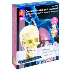 Набор для опытов Edu-Toys Череп