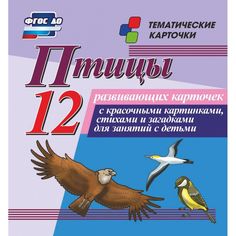Плакат Издательство Учитель Птицы