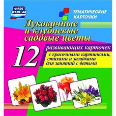 Карточки Издательство Учитель Луковичные и клубневые садовые цветы