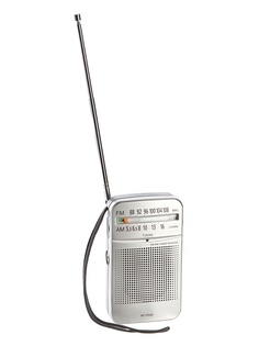 Радиоприемник Panasonic RF-50EG9-S / RF-50DEG-S