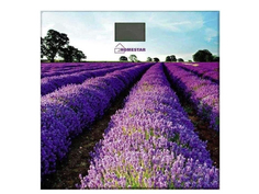 Весы напольные Homestar HS-6001G