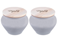 Набор горшков Elan Gallery TerraCotta 600ml 2шт 570118
