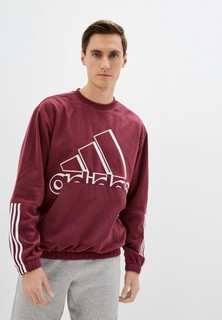 Свитшот adidas