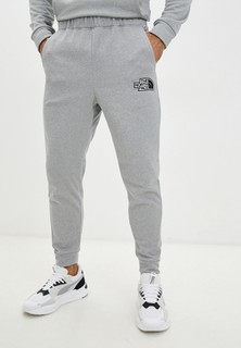 Брюки спортивные The North Face