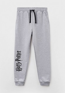 Брюки спортивные Crazy Getup
