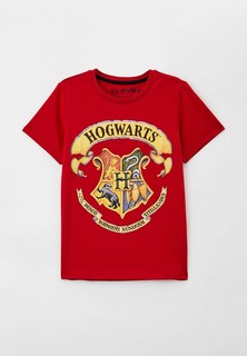 Футболка Crazy Getup