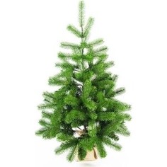 Елка искусственная Царь Елка Русская Красавица Премиум 90См